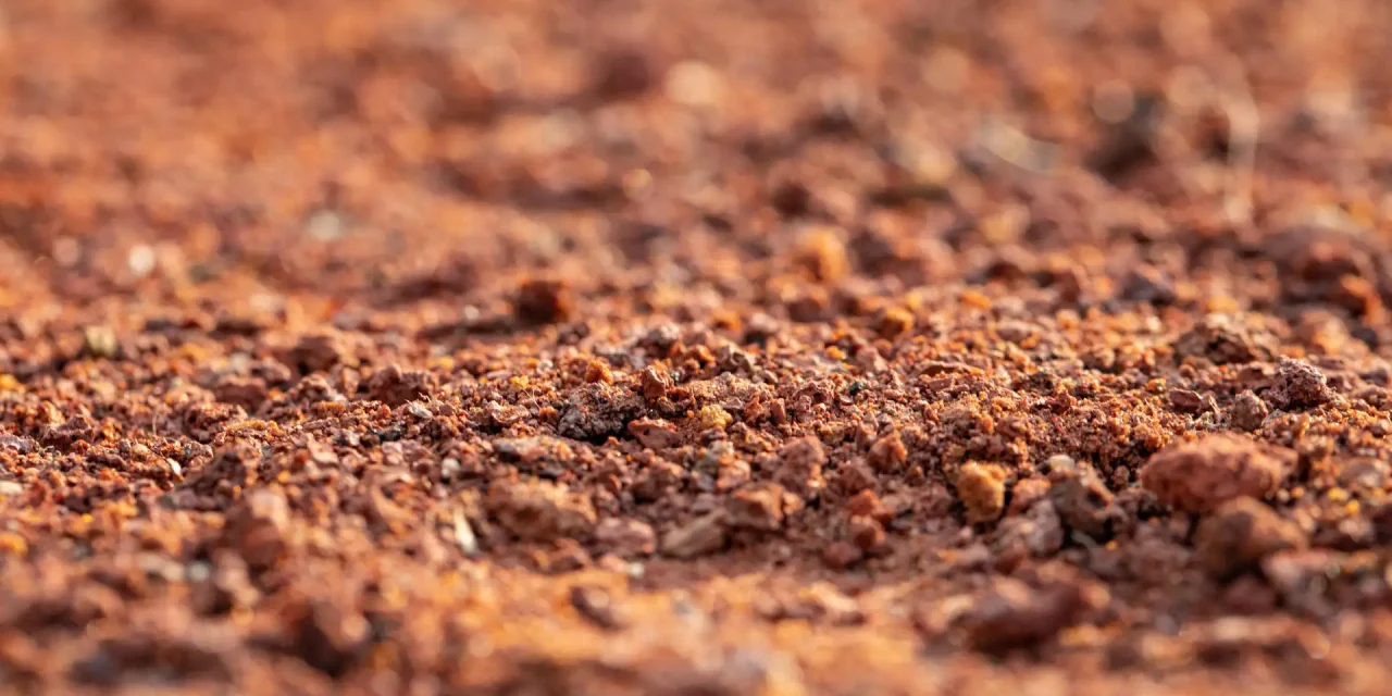 Covenants Stipulated in Deed of Granting of Mortgage