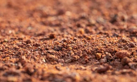 Adjudication of  Land Registration