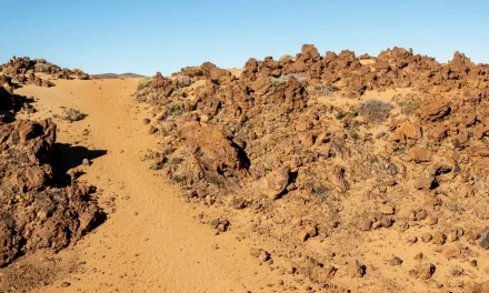 Procedures of Land Acquisition in the Framework of Investment – Land Acquisition Deriving from Right of Ownership