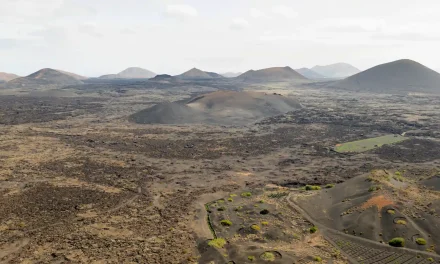 Legal Aspects and Procedures on the Rights of Land Management