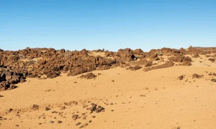 Summary of Government Regulation Number 39 of 1973 on Judicial Procedure of Indemnity Determination by the High Court Related to the Revocation of the Right of Land and the Objects Over a Land.