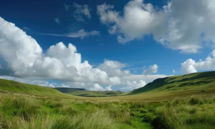 Procedure and Mechanism for Downgrading and Upgrading The Right of Land